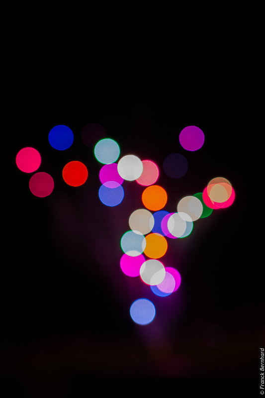L1010663.jpg